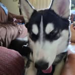 Cheryl Kline - Facebook