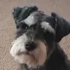cherylkratz - @cherylkratz - TikTok