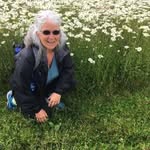 Cheryl Kulas - @kihab38542 - Instagram