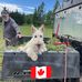 Cheryl Lang - Facebook