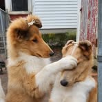 Cheryl Lang - Facebook