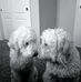 Cheryl Lang - Facebook