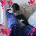 Cheryl Lang - Facebook
