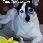 Cheryl Lang - Facebook