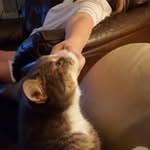Cheryl LeBlanc - @cherple667 - Instagram