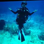 Cheryl Leone - @caleone981 - Instagram