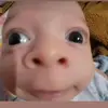 sebastian - @cherylleone1 - TikTok