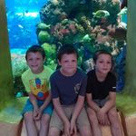 Cherylann Lindner - @cheryl.ann.lindner13 - Instagram