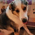 Cheryl Lindquist - @lindquist3474 - Instagram