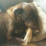 @cheryllindquist3944 - Instagram