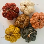 Cheryl Lundquist - @lundy_farm - Instagram