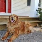 Cheryl MacFarlane - @cherylm_5 - Instagram