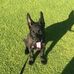 Cheryl Macfarlane - Facebook
