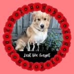 Cheryl Macleod - @1macleod2 - Instagram