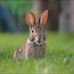 Cheryl MacLeod Photography - Facebook