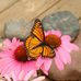 Cheryl Maier - Facebook