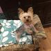 Cheryl Marion - Facebook