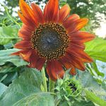 Cheryl Marion Enterline - @clenterline998 - Instagram