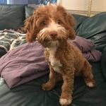 Cheryl Maxwell - @nc_cgmaxwell - Instagram