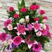 Cheryl Maxwell - Facebook