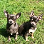 Cheryl Maxwell - @chermax76 - Instagram