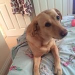 Cheryl Maxwell - @cherylmaxwell181181 - Instagram