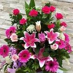 Cheryl Maxwell - @cheryl.maxwell.3914 - Instagram
