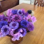 Cheryl Mayes - @cherylmayes50 - Instagram