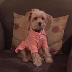 Cheryl Mayorga - @mayorgacheryl - Instagram