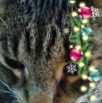 Cheryl Mccaslin - Facebook