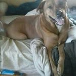 Cheryl McConnell - @mcconnell.c - Instagram