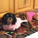 Cheryl Mcconnell - @cheryl.mcconnell.773 - Instagram