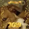 cherylmcconnell62 - @cherylmcconnell62 - TikTok