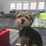 Cheryl McFadden - @cmcfad9739 - Instagram