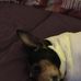 Cheryl Mcglone - Facebook
