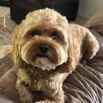 Cheryl McIver - Facebook