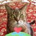 Cheryl McIver - Facebook