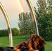 Cheryl Mckay - Facebook
