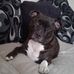Sheryl Mckendrick - Facebook