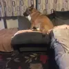 sheryl.mckendrick - @sheryl.mckendrick - TikTok