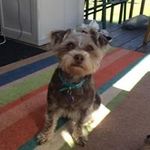 Cheryl McKnight Smith - @cherimck - Instagram