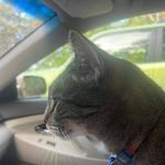 Cheryl Meek - @cheryl.meek2 - Instagram