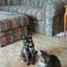 Cheryl Merchant Myles - Facebook