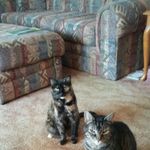 Cheryl Merchant Myles - @cmyles52 - Instagram