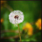 Cheryl Mercier - @elkmercier - Instagram