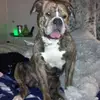 Cheryl McMillion - @cheryl.mcmillion - TikTok