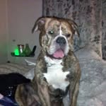 Cheryl Mcmillion - @cherylmcmillion19622023 - Instagram