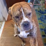 cherylmcmillion - @cherylmcmillion1962 - Instagram