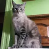 Cheryl Moe - @cheryl.moe - TikTok