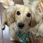 Cheryl Follis Neely - @juju2four - Instagram